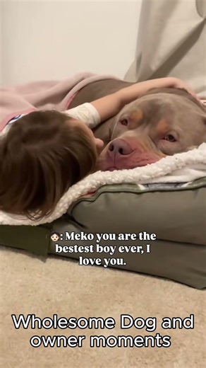 Wholesome Dog Moments With Their Owners 🐶💖