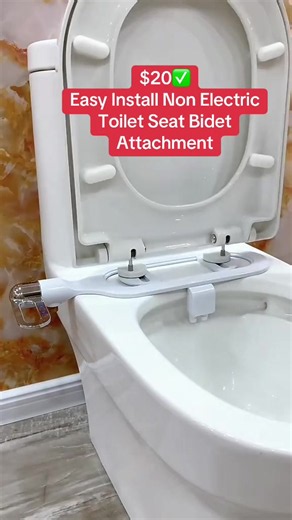 $20 Easy Install Non Electric Toilet Seat Bidet Attachment