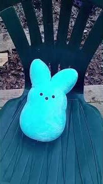 smilers reboot trailer