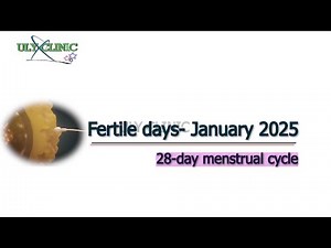 Fertile days January 2025 - 28-day menstrual cycle