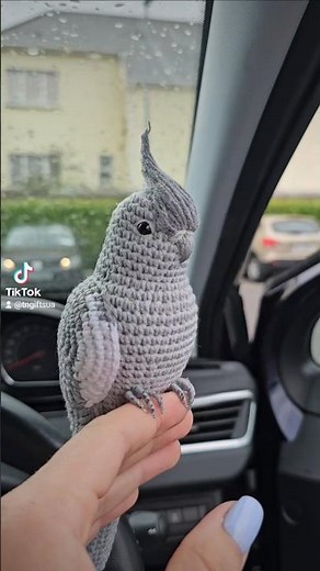 Pearl Cockatiel Crochet parrot pet