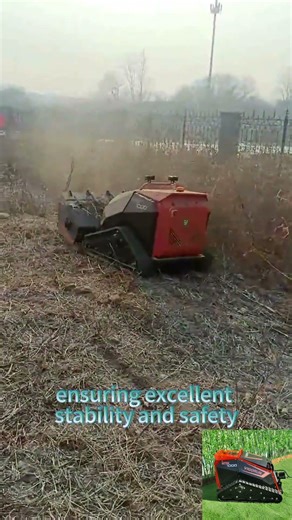 factory direct sales low wholesale price China thick bush RC weed cutter