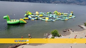 Wibit water parks is back on Okanagan Lake for the summer