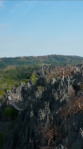 ドローンがツィンギー・デ・ベマラハ：マダガスカルの石の森を探索