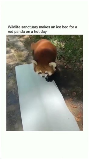 This is the life 😏