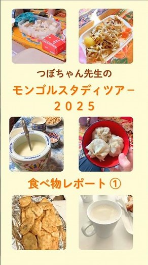 モンゴル食レポート① 馬乳酒 羊肉の蒸し餃子など モンゴルスタディツアー(2025)で 頂いた食べ物をご紹介♪ #坪内俊憲 #つぼちゃん先生 #モンゴル #モンゴル料理