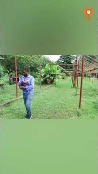 India-ISA Solar Irrigation Project Boosts Sustainable Agriculture in Seychelles | Bharat A2Z