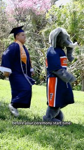 7.2K views · 113 reactions | Are you a soon-to-be graduate or guest? Commencement is just around the corner!  Check out this video with helpful tips so you can feel prepared for your ✨big day!✨ Don’t forget to share your experiences using the #CSUFGrad2023. We are so excited to celebrate your accomplishments! | California State University, Fullerton | Facebook