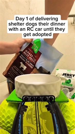 4.8K views · 755 reactions | Meet HK  A five-year-old mixed-breed...