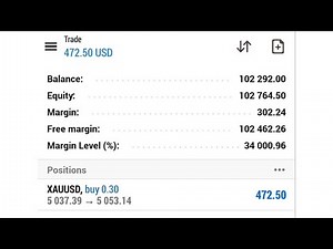 What is Balance, Equity, Margin, Margin Level (%) in Forex Trading on MT5? MT5 Tutorials