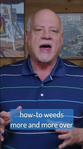 The Product Owner Should Give Technical Advice (sometimes)