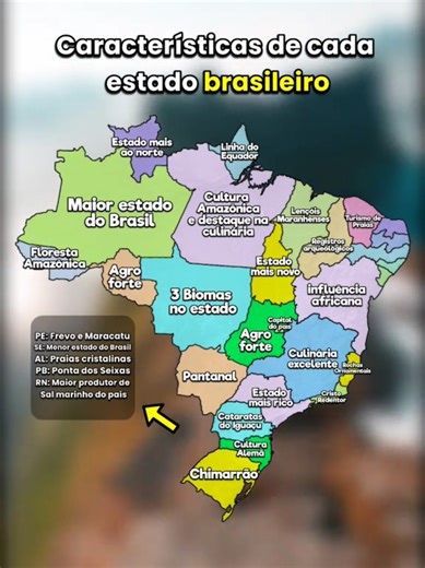 Características de Cada Estado Brasileiro