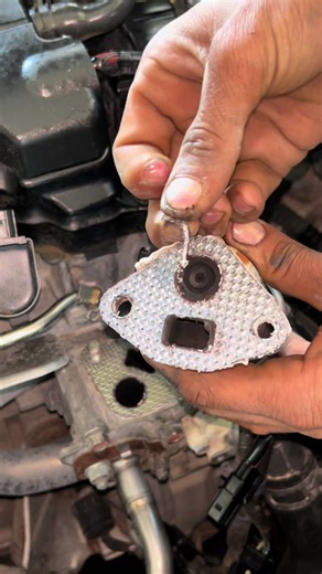 EGR Sensor Open Wash: Hodareborn Polish Cow Guide