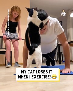 It's almost like the Cat doesn't want Dad to get fit! 😂 | Dad Jokes