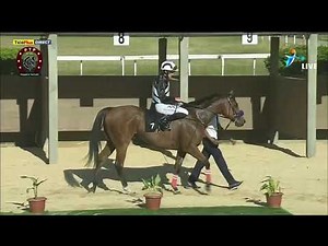 Hippisme - 1ere journée - La cinquième course en direct