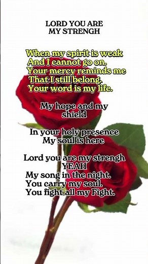 Lord you are my strengh song by Jelly roll worship song lyric