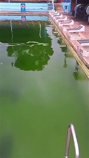 Residents demand action as Hillcrest Pool is refilled without maintenance Read more: https://www.citizen.co.za/rekord/news-headlines/2025/05/09/residents-demand-action-as-hillcrest-pool-is-refilled-without-maintenance/ | Rekord