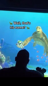 Turtle Talk With Crush #turtletalkwithcrush #disneyland #disneyworld #disneyparks #pixar | Turtle Talk With Crush