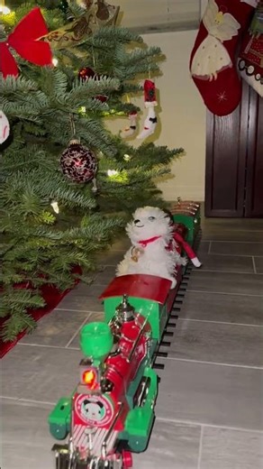 Elf taking his friends on a train ride