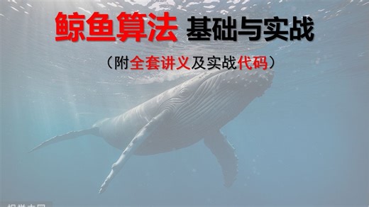 【智能优化算法】鲸鱼算法基础与实战，附原理讲义及实战代码，机器学习基础必看