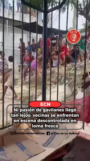 ECN | el clan de las noticias on Instagram: "#ecn | En Loma Fresca, los capítulos no los escribe Netflix: ¡Aquí la trama se vive en vivo y sin censura! Una de las protagonistas gritaba a pulmón abierto: “¡LA TETA, MAMÁ, LA TETA!” 😳 mientras la otra se le venía encima con una técnica mezcla entre WWE y pelea de bus a las 7 de la mañana. Puños volando, extensiones viajando por el viento y hasta los perros terminaron participando. Uno de los caninos ladraba como si fuera el entrenador, mientras ot