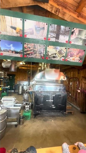 Maple Syrup Making Process in Canada From Tree to Bottle 🍁
