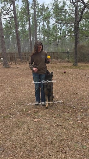 Fun combo with Nitro! #nitro #combo #pressure #training #funday