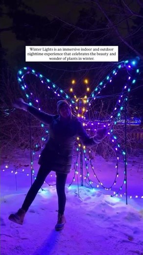 Have you checked out this Minnesota holiday light show less than 30 minutes from the Twin Cities?