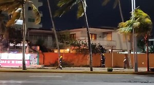 Cae pino en la ciudad de Veracruz, en el Boulevard M. Avila Camacho y Xicotencatl. Cuántos "nortes" no habrá enfrentado y finalmente sucumbió. * lunes 12 de enero de 2026 ☆ Isidro Cano Luna ☆ El tiempo también es noticia | Isidro Cano