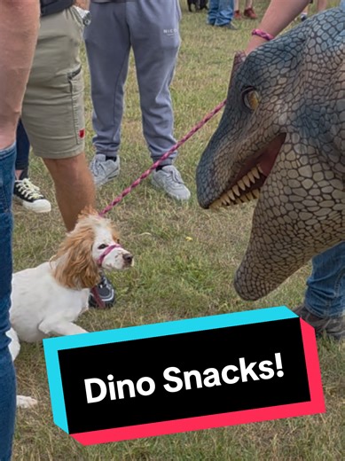 Dino Snacks Prank Video