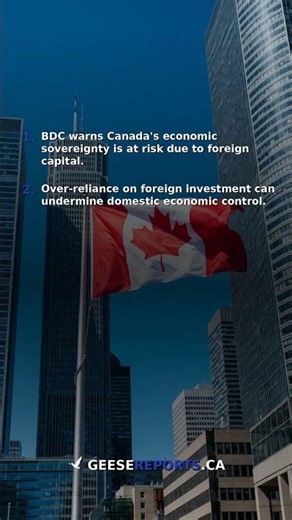 BDC Warns of Canada's Reliance on Foreign Capital