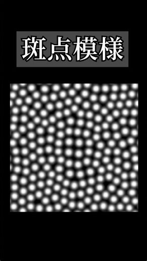 The equation that determines animal patterns #Physics #Trivia