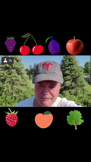 Donny Osmond's Home Garden: Fruit Trees and More