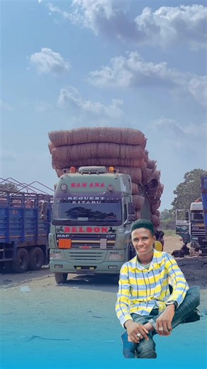 Exploring Belson Transport Services: A Local Insight