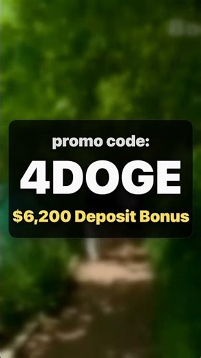 Bitget Code : 4DOGE - the best bitget redeem code (review)