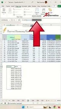 Filter Excel to only show certain columns - Excel Tips and Tricks #shorts