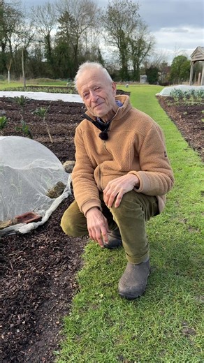 Earthworm activity is what we want plenty of in our soils and this is one sign of it, the surface casts with a hole underneath. They are different to Brandling worms which you find in wormeries #worms #earthworm #wormcast #nodig #healthysoil