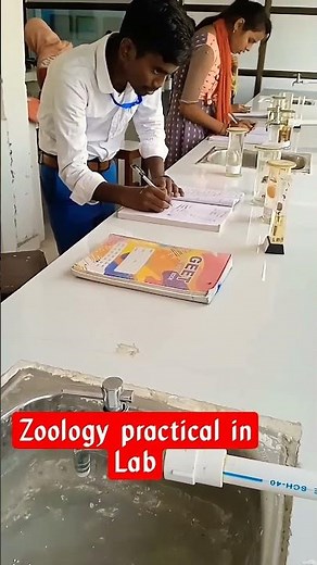 Zoology Practical in Lab