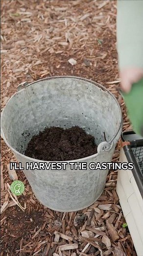 Where to Get The Best Worm Castings