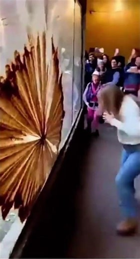 Gorilla gets mad🤣🤣 #viral #foryou #viralvideo