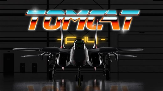 现代战斗机颜值的顶峰 F-14雄猫 令人叹为观止的设计 1K圖解