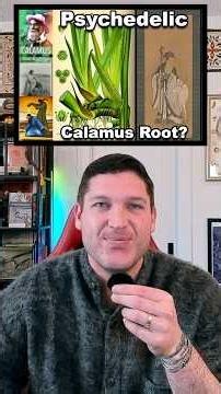 Han Zhong, Calamus, and Immortality