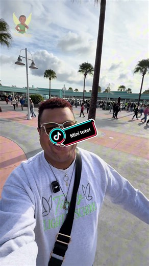 Find the Viral Mini Mickey Mouse Tote Bag at Disney!