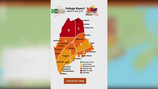 Foliage report: Northern Maine reaches peak foliage