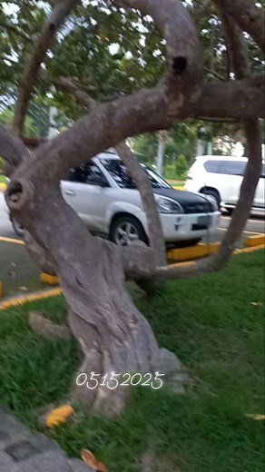 Rolando Del Castillo on Reels