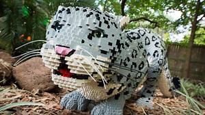Larger-than-life LEGO animals take over Houston Zoo
