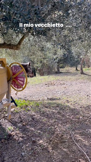 82 reactions · 3 comments | Patrick Combi on Reels | Facebook