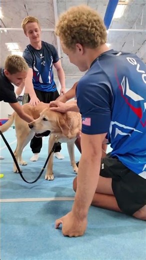 Service Dogs Visit EVO Gymnastics