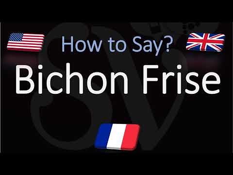 How to Pronounce Bichon Frisé? (CORRECTLY) English, French Dog Breed Pronunciation