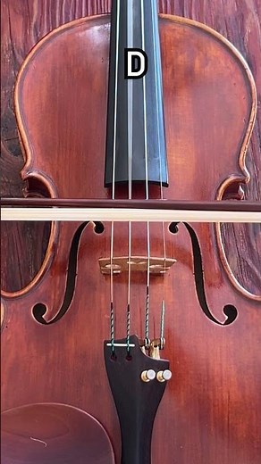 Strings of the violin #shorts